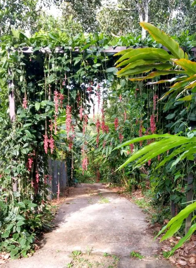 Himmelberg Nature Retreat Villa Munnar India
