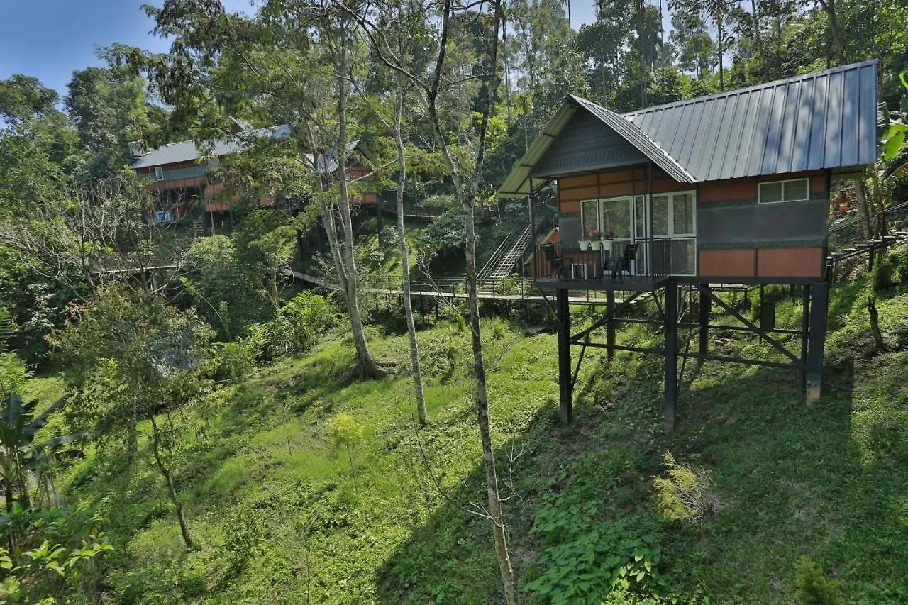 Himmelberg Nature Retreat Villa Munnar India
