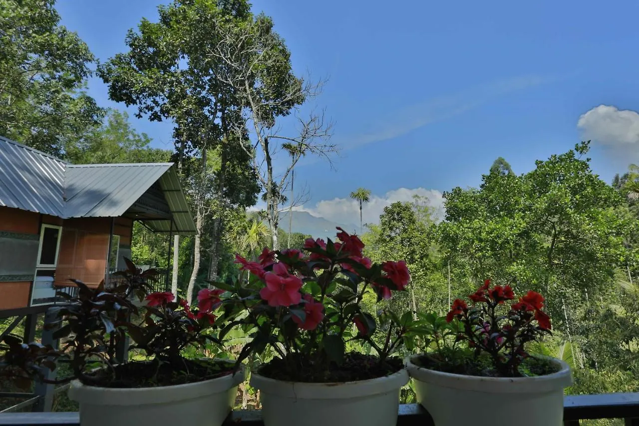 Himmelberg Nature Retreat Villa Munnar
